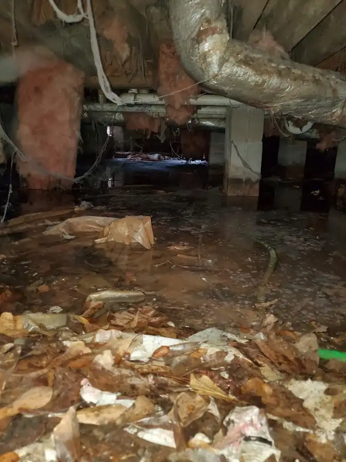 Crawl space flood assessment for Leak Detection & Repair in Fair Haven