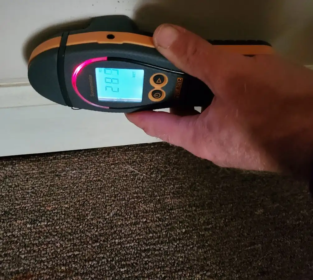 Moisture detection at baseboard during Sewage Cleanup & Sanitation in Fair Haven